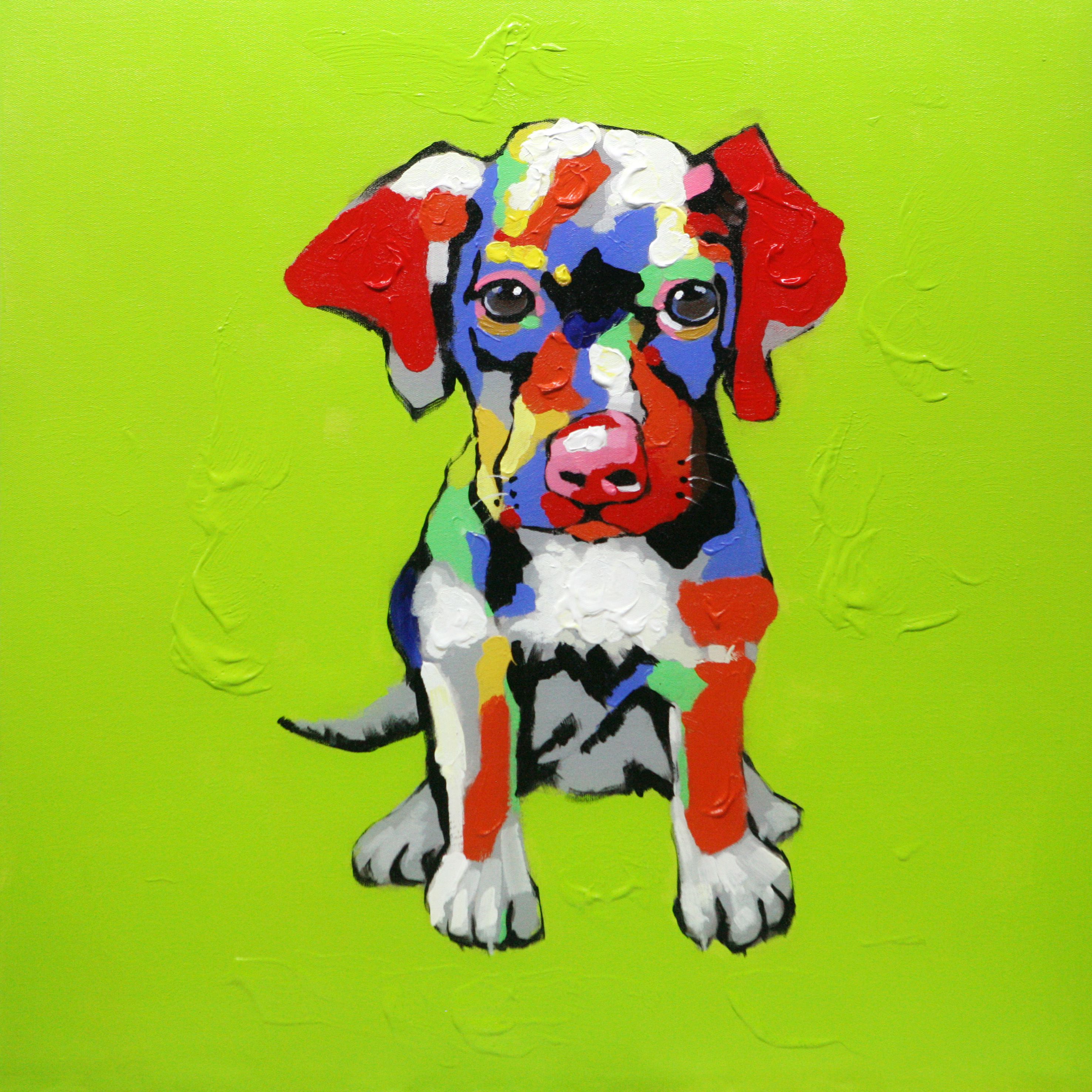  Dog