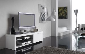     :  :   DUPEN TV-603 