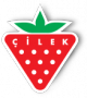 Cilek Store -   , , , 